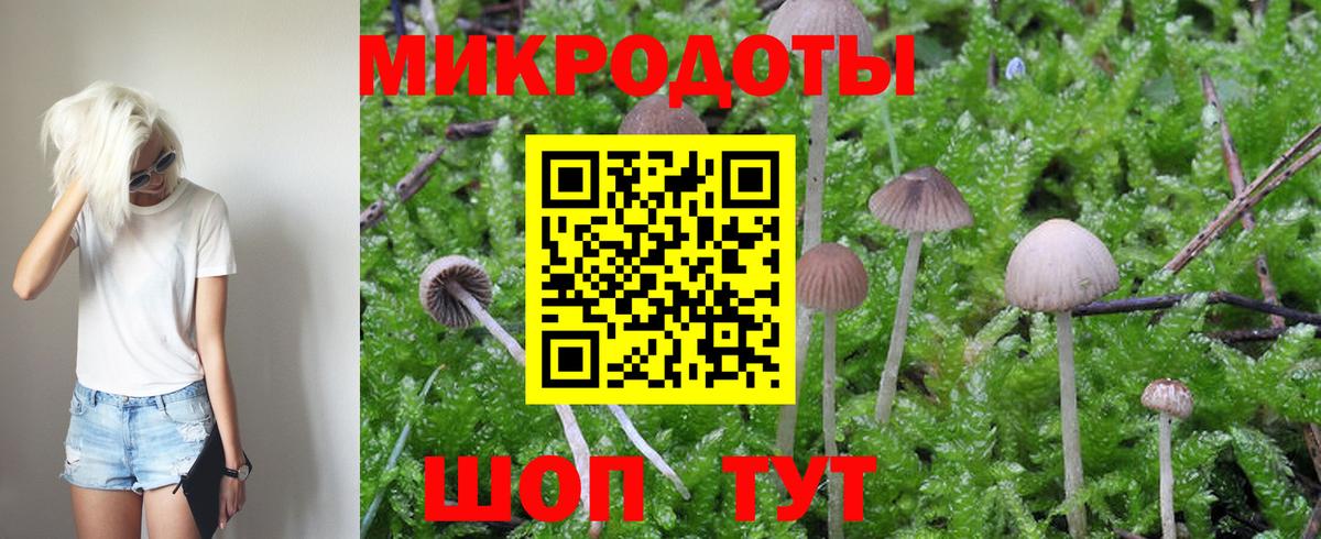 Зеленодольск  Галлюциногенные грибы ЛСД  Вход с VPN 
