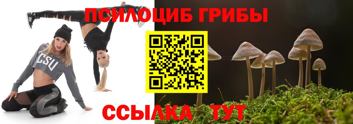 Псилоцибиновые грибы MAGIC MUSHROOMS Зеленодольск